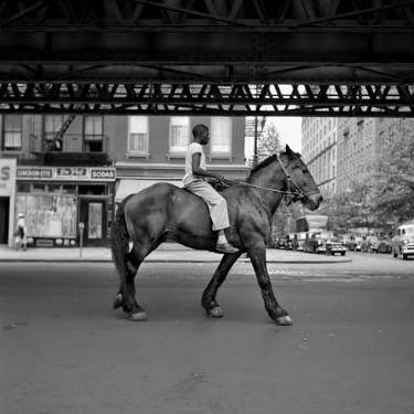 African American Man on Horse NYC