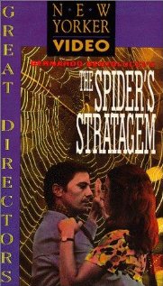 spiderstrategies